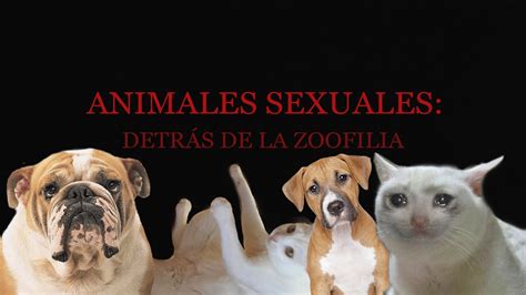 zoofilia xxx|Zoofilia